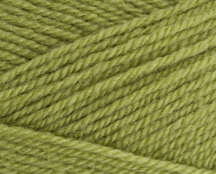Fern Stylecraft Life DK