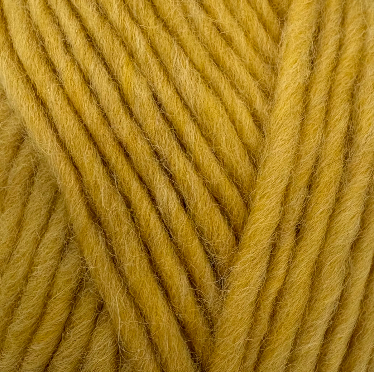 Butterscotch Flokí