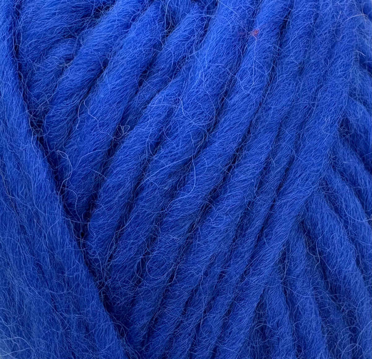 Royal Blue Flokí