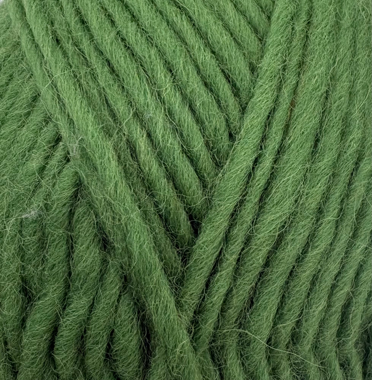 Cypress Flokí