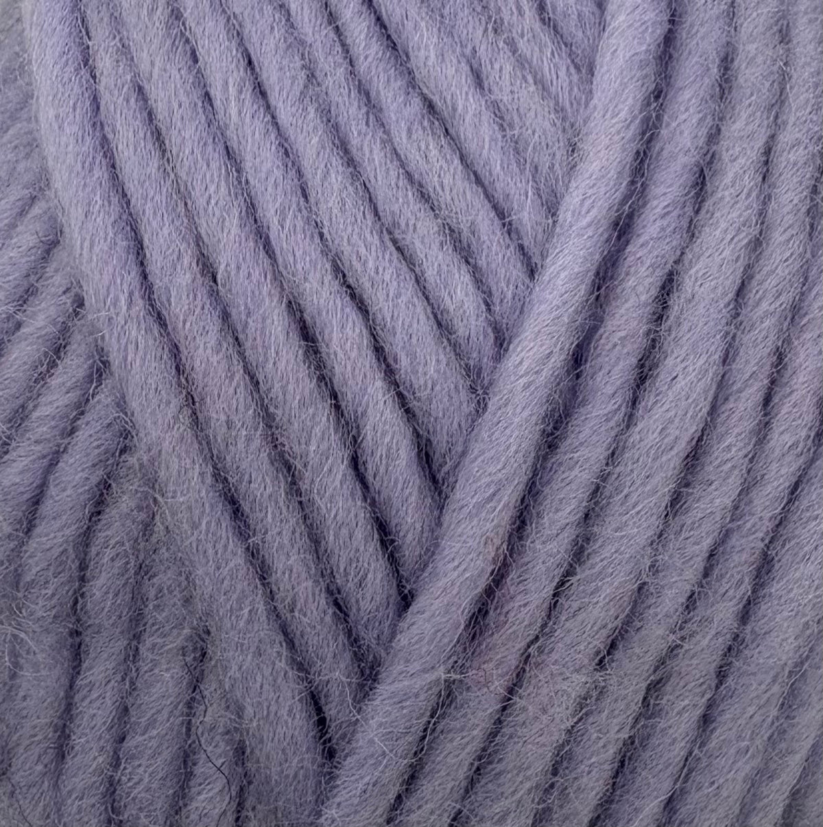 Iced lavender Flokí