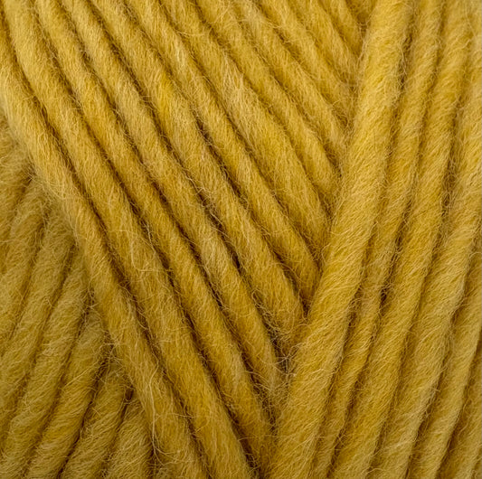 Butterscotch Flokí