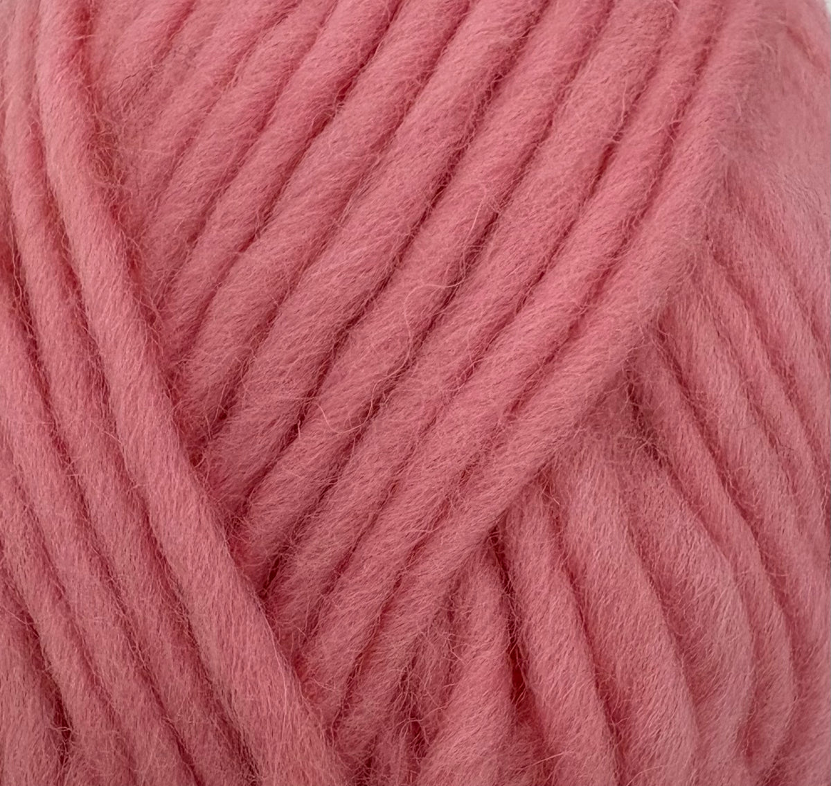 Carnation Flokí