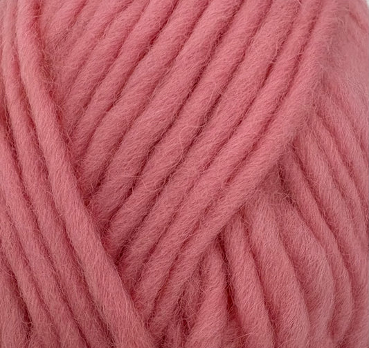 Carnation Flokí