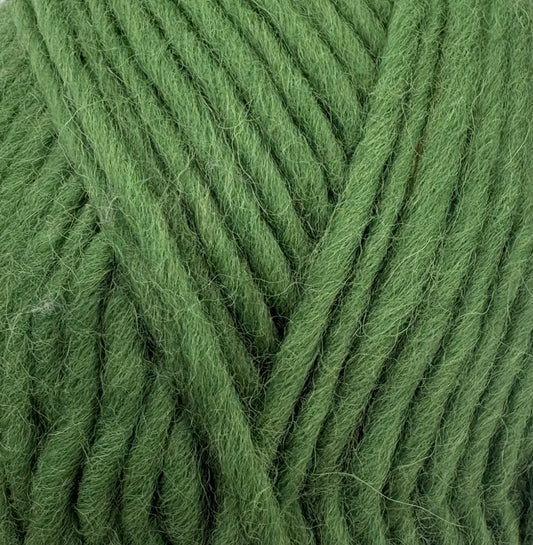 Cypress Flokí