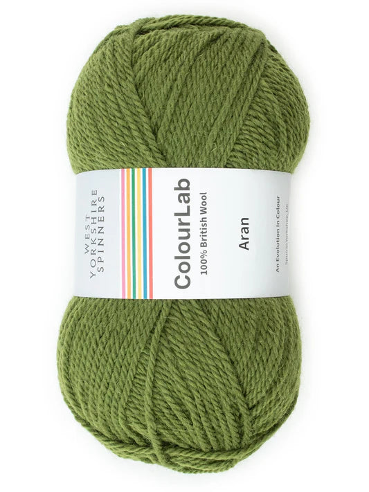 Moss Green Colourlab Aran